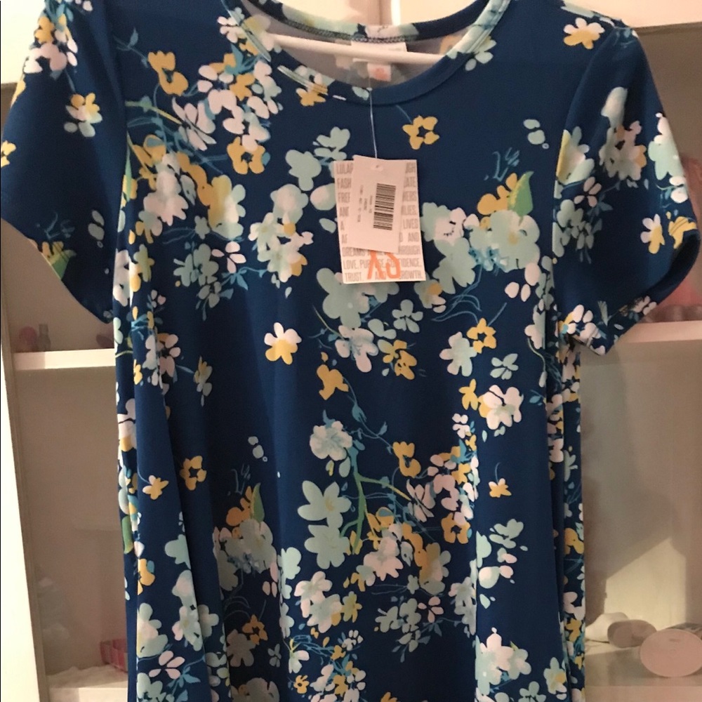 NWT Lularoe Jessie Dress